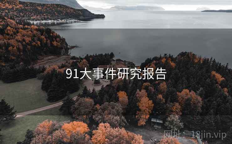 91大事件研究报告 91大事件研究报告