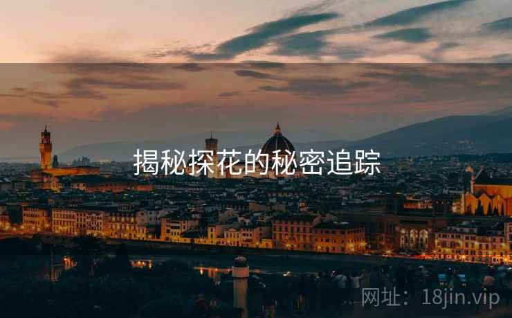 揭秘探花的秘密追踪 揭秘探花的秘密追踪