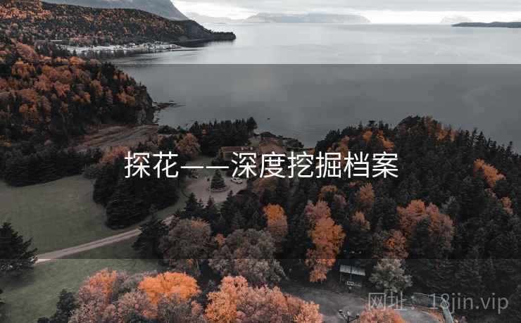 探花——深度挖掘档案 探花——深度挖掘档案