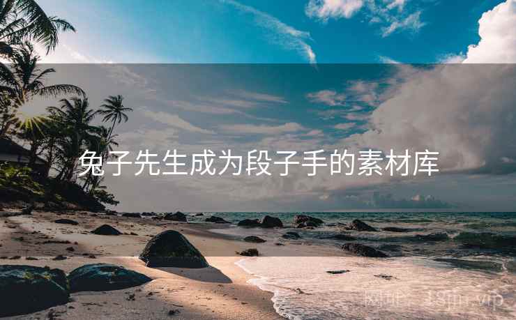 兔子先生成为段子手的素材库 兔子先生成为段子手的素材库