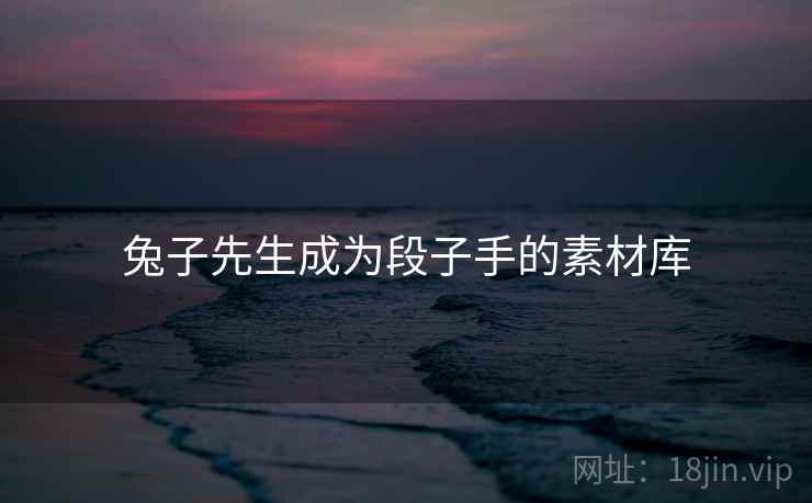 兔子先生成为段子手的素材库 兔子先生成为段子手的素材库