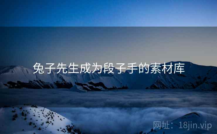 兔子先生成为段子手的素材库 兔子先生成为段子手的素材库