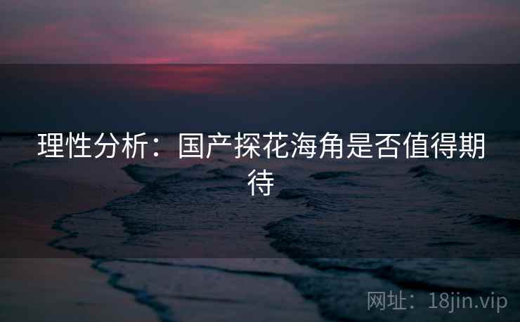 理性分析：国产探花海角是否值得期待