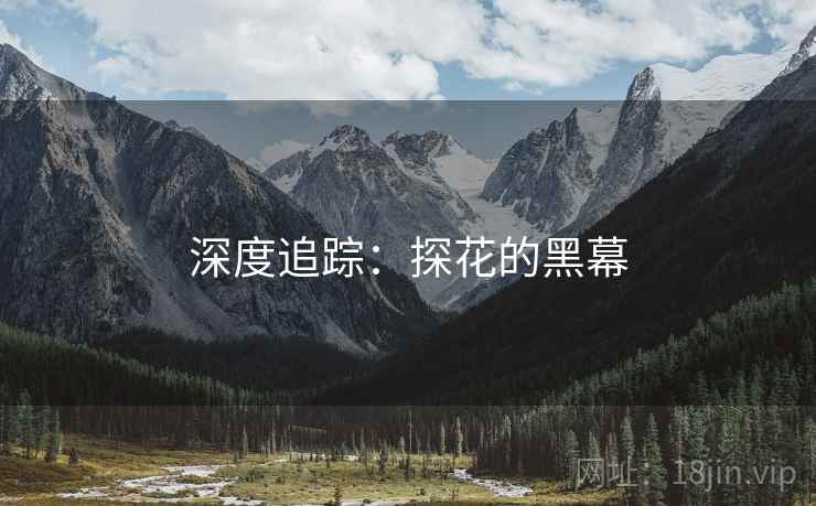 深度追踪:探花的黑幕