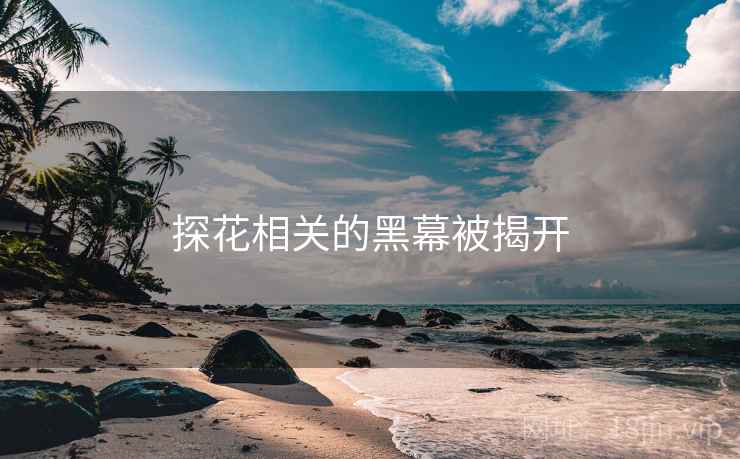 探花相关的黑幕被揭开 探花相关的黑幕被揭开