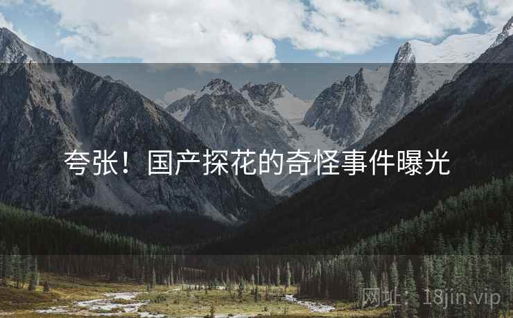 夸张!国产探花的奇怪事件曝光 夸张!国产探花的奇怪事件曝光