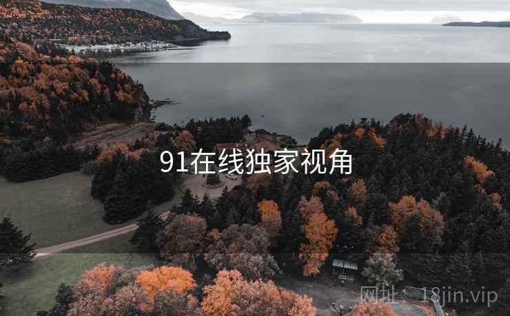91在线独家视角 91在线独家视角