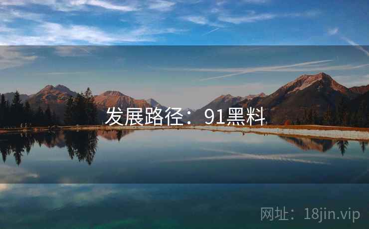 发展路径:91黑料 发展路径:91黑料
