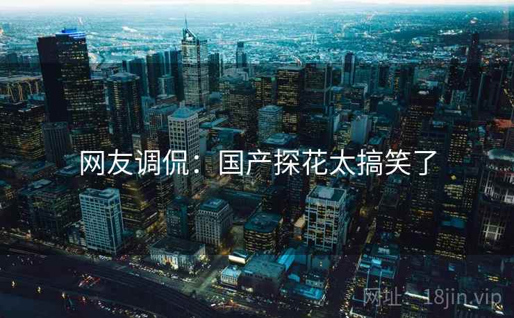 网友调侃:国产探花太搞笑了 网友调侃:国产探花太搞笑了