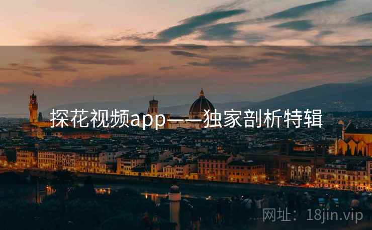 探花视频app——独家剖析特辑 探花视频app——独家剖析特辑
