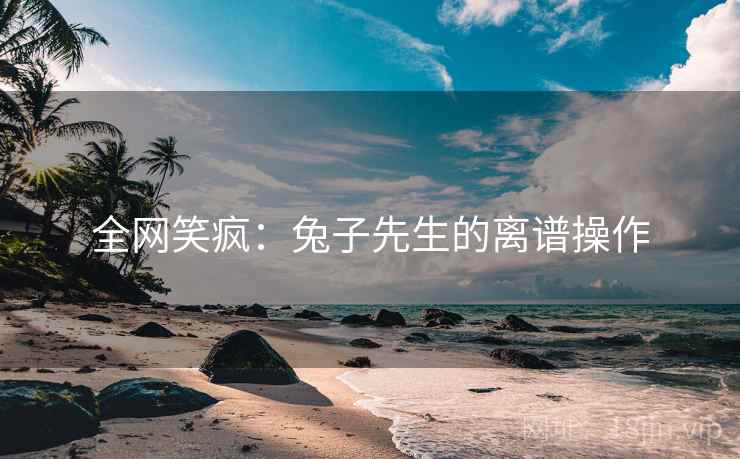 全网笑疯:兔子先生的离谱操作