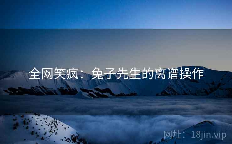 全网笑疯:兔子先生的离谱操作 全网笑疯:兔子先生的离谱操作